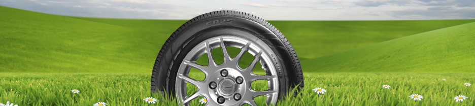 Free Tire Quote